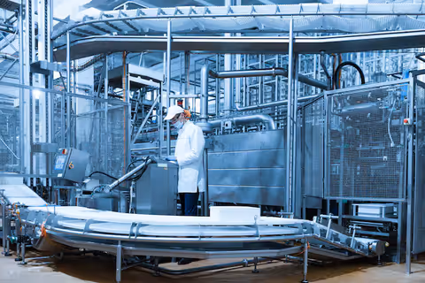 Industrial Ice Cream Manufacturing Unit: Process, Equipment, Cost, Facts and Quality Standards