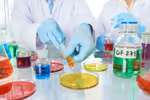 Harvechem Explained: A Complete Guide to Chemical Development and Global Supply Solutions