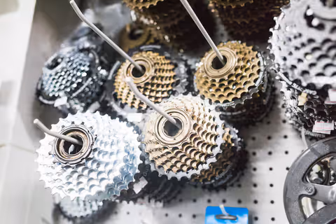 Insights into Masterbatch Machines, Components, and Industry Developments